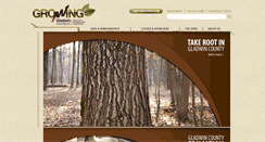 Desktop Screenshot of gladwincountyedc.org